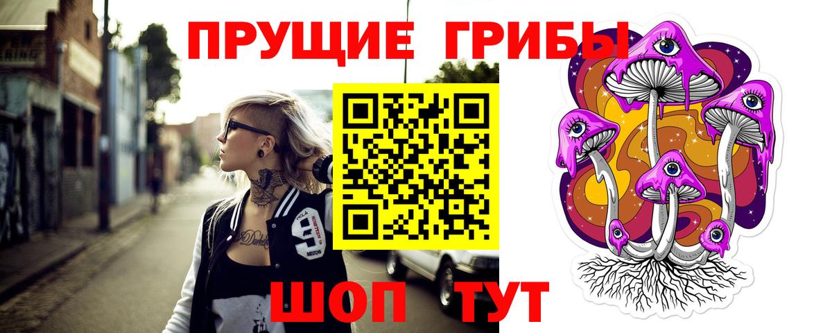 Ртищево  Псилоцибиновые грибы Cubensis  Вход с VPN 